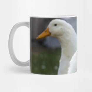 Two White Inseparable Ducks at the Farm Mug